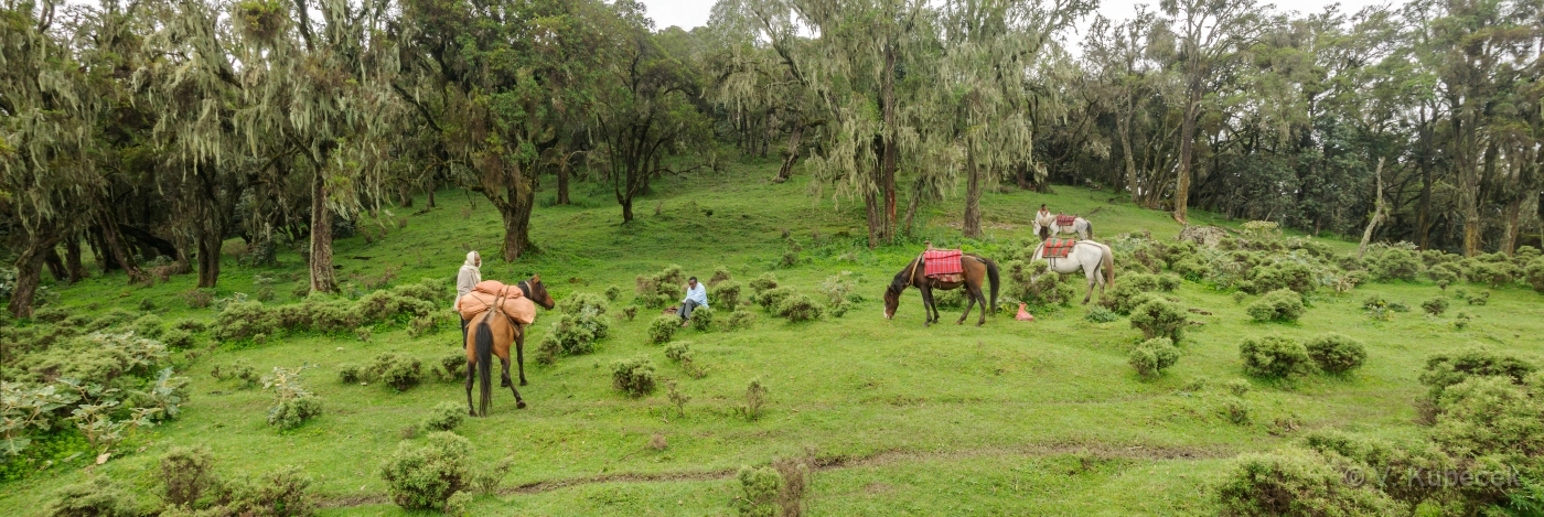 [Group 36]-DSC 7511 DSC 7512-2 images
